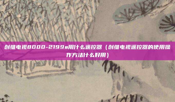创维电视8000-2199a用什么遥控器（创维电视遥控器的使用操作方法什么好用）