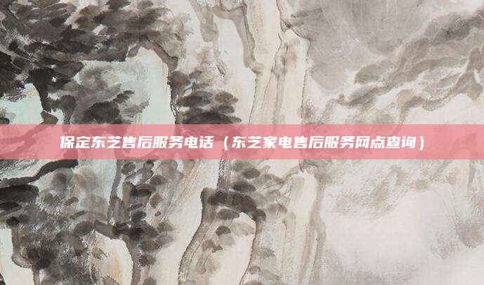 保定东芝售后服务电话（东芝家电售后服务网点查询）
