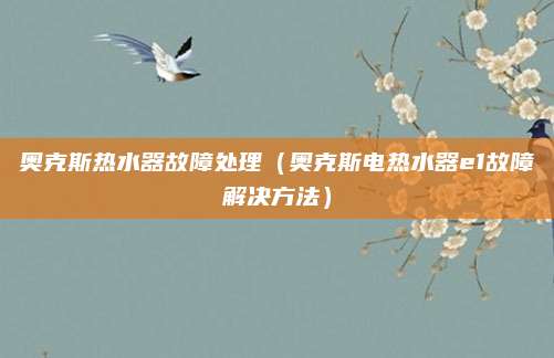 奥克斯热水器故障处理（奥克斯电热水器e1故障解决方法）