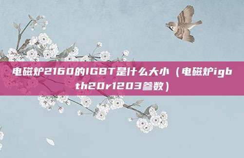 电磁炉2160的IGBT是什么大小（电磁炉igbth20r1203参数）