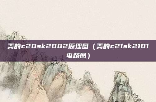 美的c20sk2002原理图（美的c21sk2101电路图）