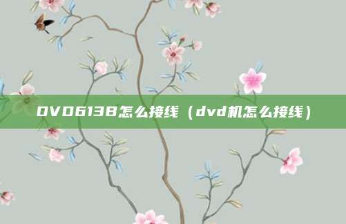 DVD613B怎么接线（dvd机怎么接线）