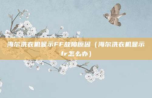 海尔洗衣机显示FF故障原因(海尔洗衣机显示fr怎么办)