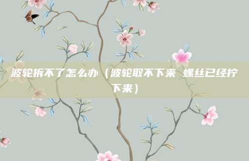 波轮拆不了怎么办(波轮取不下来 螺丝已经拧下来)