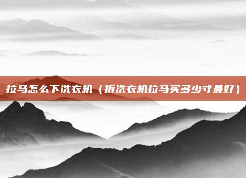 拉马怎么下洗衣机（拆洗衣机拉马买多少寸最好）