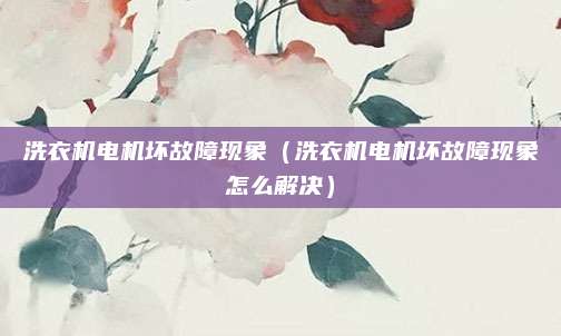 洗衣机电机坏故障现象（洗衣机电机坏故障现象怎么解决）