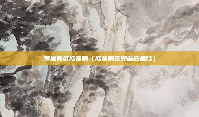 哪里有维修音响（修音响在哪些店里修）