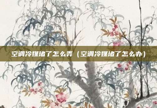 空调冷媒堵了怎么弄（空调冷媒堵了怎么办）