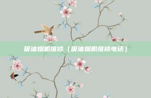 吸油烟机维修（吸油烟机维修电话）