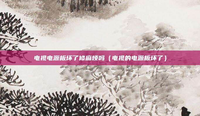 电视电源板坏了修麻烦吗（电视的电源板坏了）