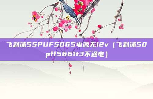 飞利浦55PUF5065电源无12v（飞利浦50pff5661t3不通电）