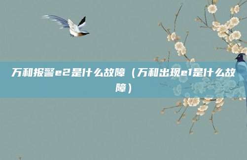 万和报警e2是什么故障（万和出现e1是什么故障）