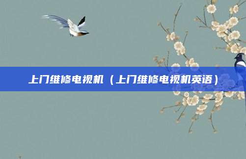 上门维修电视机(上门维修电视机英语)
