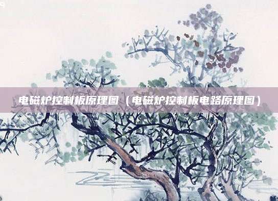 电磁炉控制板原理图（电磁炉控制板电路原理图）
