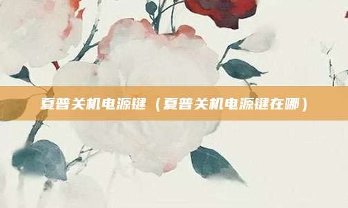 夏普关机电源键（夏普关机电源键在哪）