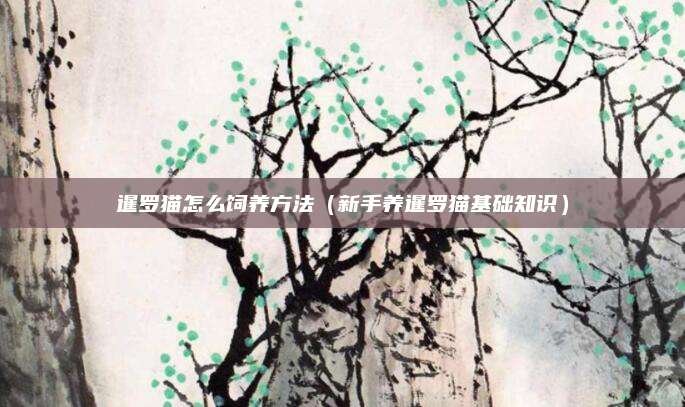 暹罗猫怎么饲养方法（新手养暹罗猫基础知识）
