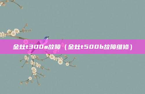 金灶t300a故障（金灶t500b故障维修）