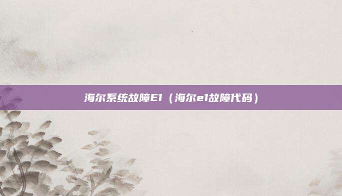 海尔系统故障E1（海尔e1故障代码）