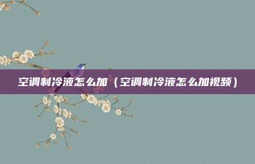 空调制冷液怎么加（空调制冷液怎么加视频）