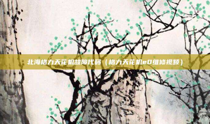 北海格力天花机故障代码（格力天花机e0维修视频）