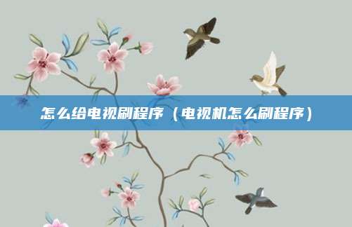 怎么给电视刷程序（电视机怎么刷程序）