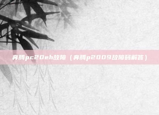 奔腾pc20eh故障（奔腾p2009故障码解答）
