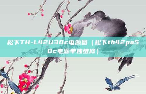 松下TH-L42U30c电源图（松下th42pa50c电源单独维修）