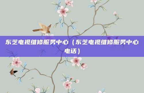 东芝电视维修服务中心（东芝电视维修服务中心电话）
