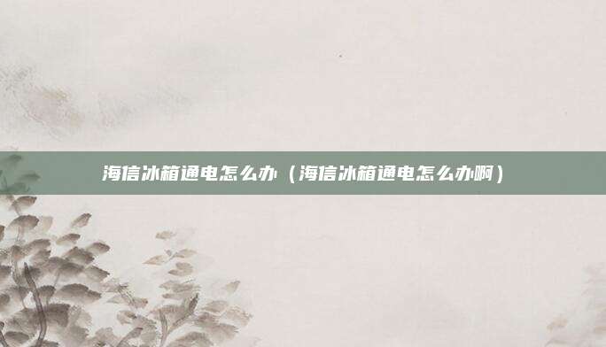 海信冰箱通电怎么办（海信冰箱通电怎么办啊）