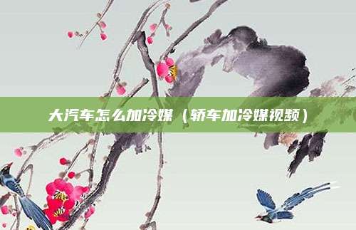 大汽车怎么加冷媒(轿车加冷媒视频)
