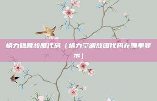 格力隐藏故障代码（格力空调故障代码在哪里显示）