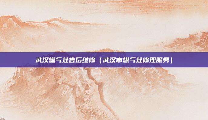 武汉燃气灶售后维修(武汉市煤气灶修理服务)