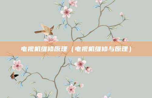 电视机维修原理（电视机维修与原理）