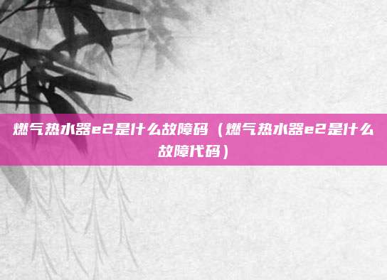 燃气热水器e2是什么故障码（燃气热水器e2是什么故障代码）