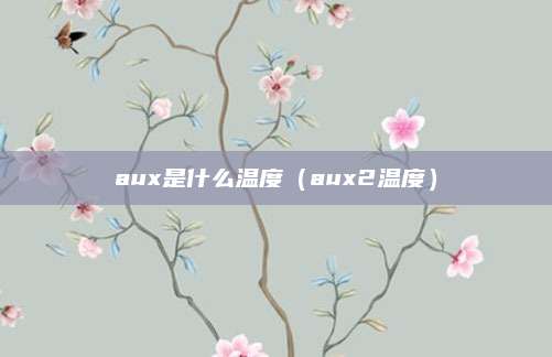 aux是什么温度(aux2温度)
