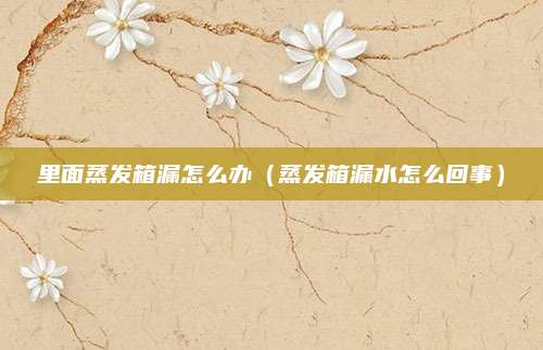 里面蒸发箱漏怎么办(蒸发箱漏水怎么回事)
