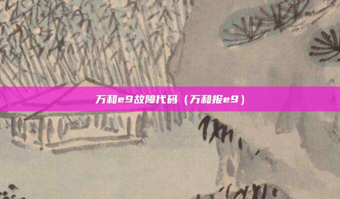 万和e9故障代码(万和报e9)