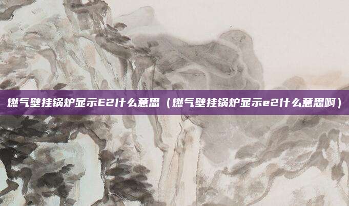 燃气壁挂锅炉显示E2什么意思（燃气壁挂锅炉显示e2什么意思啊）