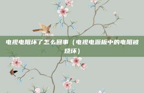 电视电阻坏了怎么回事（电视电源板中的电阻被烧坏）