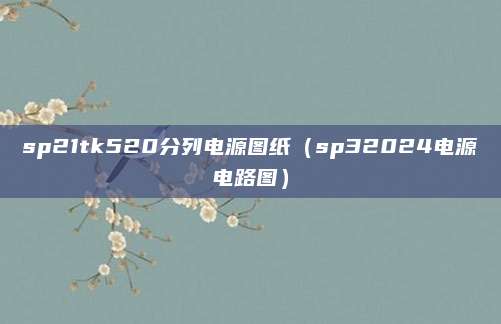 sp21tk520分列电源图纸（sp32024电源电路图）