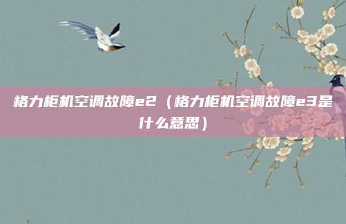 格力柜机空调故障e2（格力柜机空调故障e3是什么意思）
