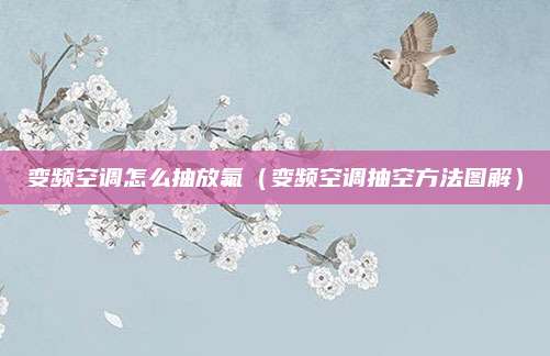 变频空调怎么抽放氟（变频空调抽空方法图解）