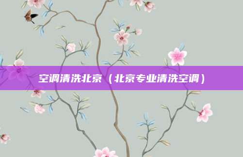 空调清洗北京（北京专业清洗空调）