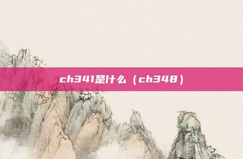 ch341是什么（ch348）