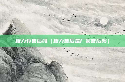 格力有售后吗(格力售后是厂家售后吗)