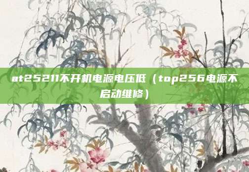 at25211不开机电源电压低（top256电源不启动维修）