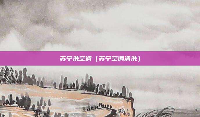 苏宁洗空调（苏宁空调清洗）