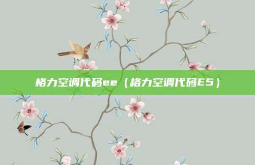 格力空调代码ee（格力空调代码E5）