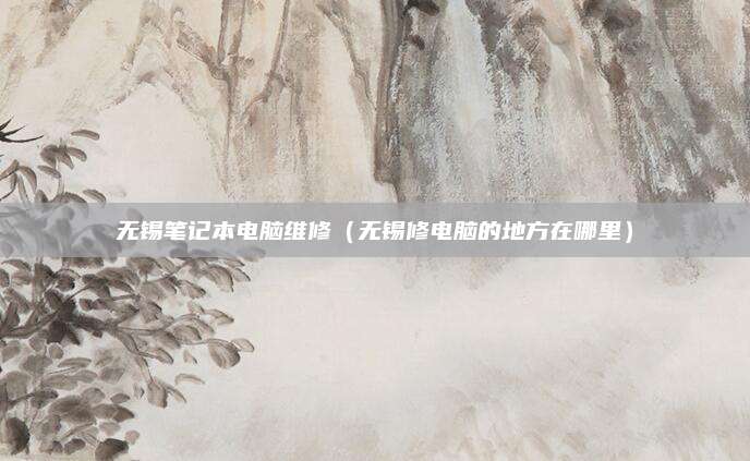 无锡笔记本电脑维修（无锡修电脑的地方在哪里）