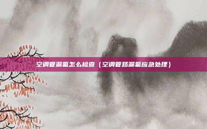 空调管漏氟怎么检查（空调管路漏氟应急处理）